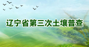 專家 說種子(1).png